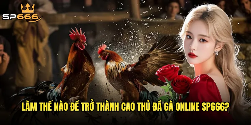 Làm thế nào để trở thành cao thủ đá gà online Sp666?