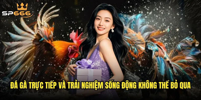 Đá gà trực tiếp và trải nghiệm sống động không thể bỏ qua