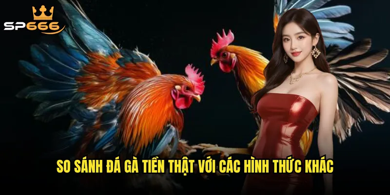 So sánh đá gà tiền thật với các hình thức khác